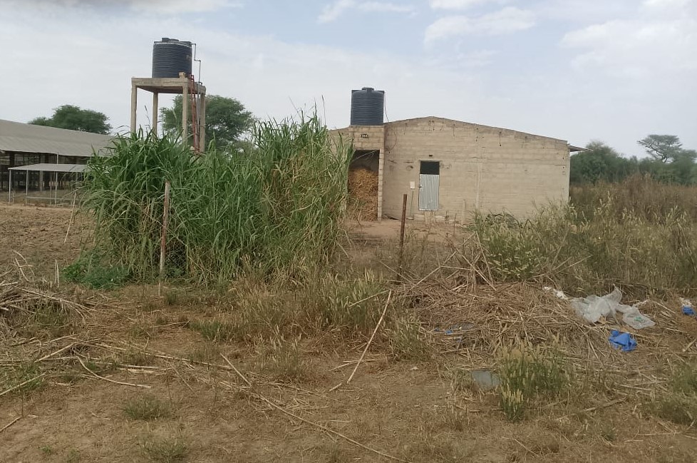 Exploitation Agricole de 1,04 Hectare vers Touba Toul – Thiès
