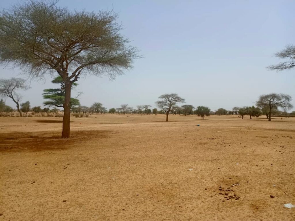 Terrain de 2,44 en bordure de route vers Sagata