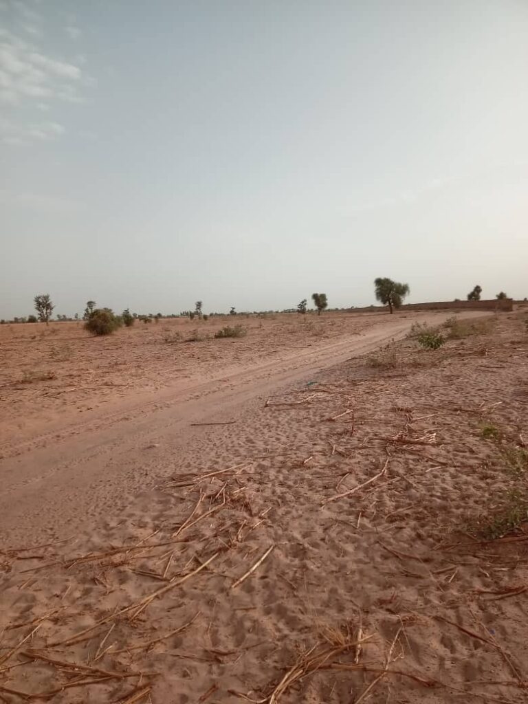 Terrain de 20 Hectares pour Projet de Morcellement de Parcelles à usage d&rsquo;Habitation vers Touba – Mbacké