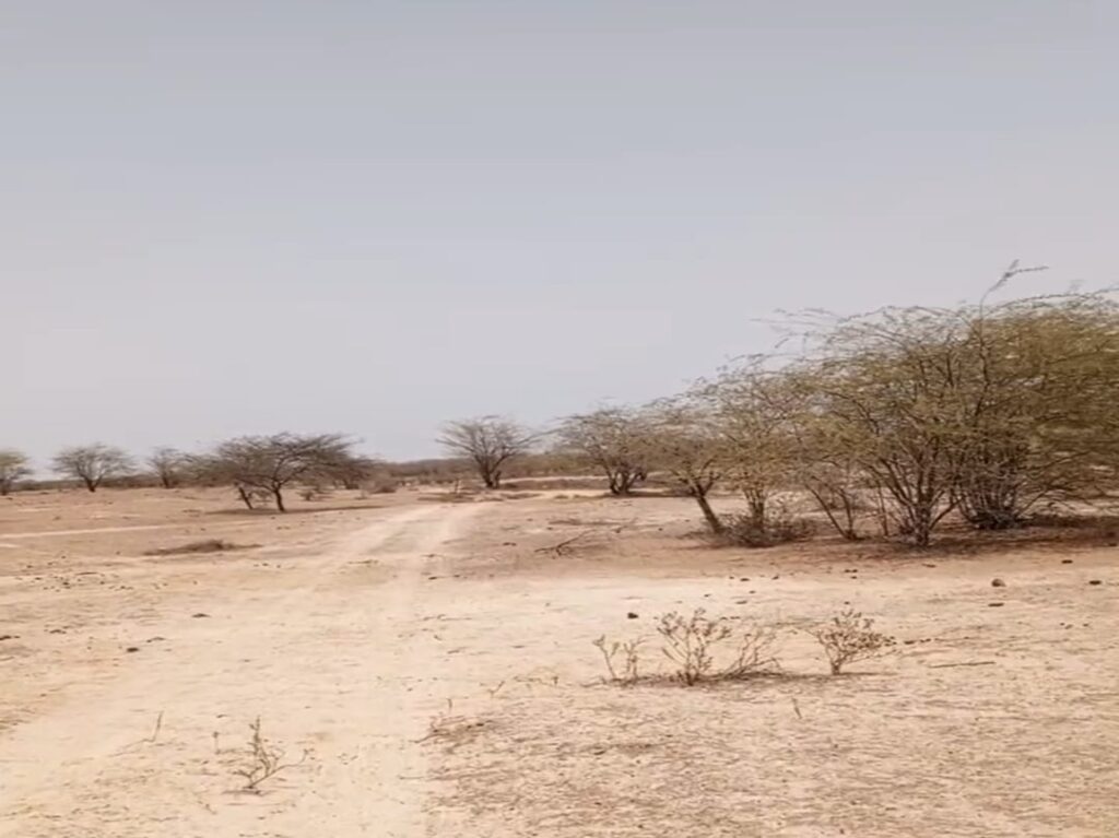 Terrain Agricole ce 10 Ha vers Ross Bethio – Saint Louit