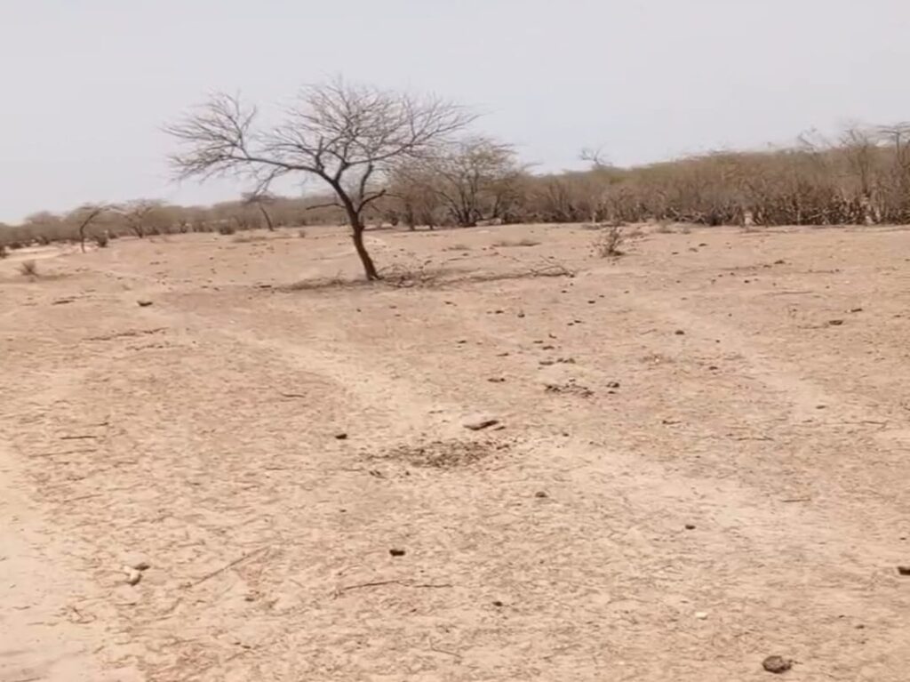 Terrain Agricole ce 10 Ha vers Ross Bethio – Saint Louit