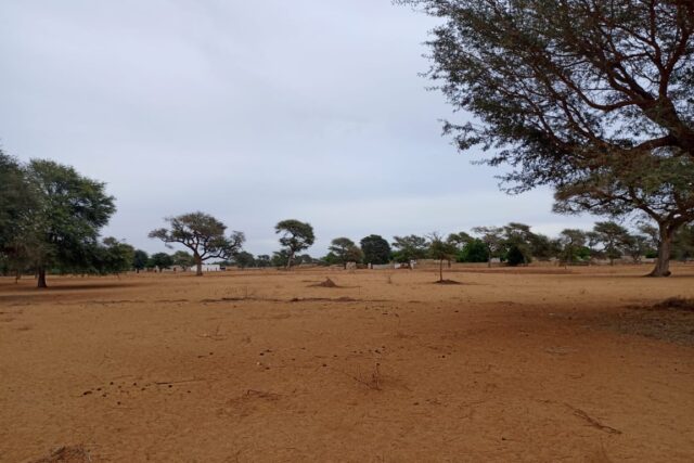 Terrain Agricole de 1,54 Hectare vers Touba Toul – Thiès