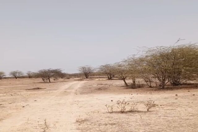 Terrain Agricole ce 10 Ha vers Ross Bethio – Saint Louit