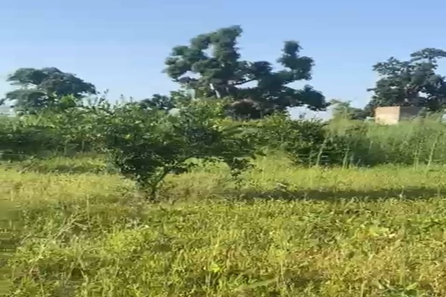 Verger Agricole de 4 405 m² vers Notto Diobass – Thiès