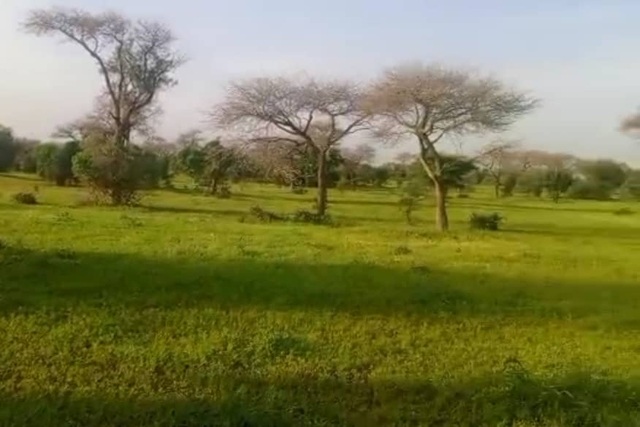 Terrain Agricole de 3 Hectares vers Koul – Thiès