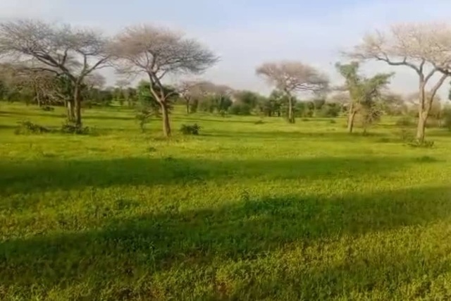 Terrain Agricole de 3 Hectares vers Koul – Thiès