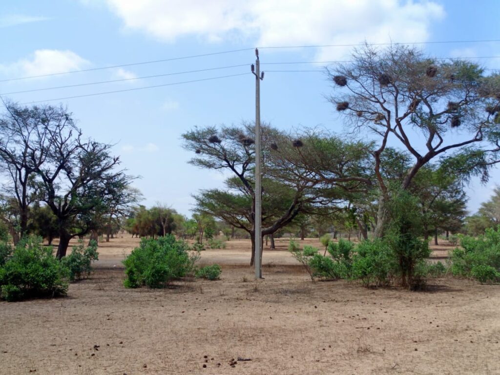 Terrain Agricole de 21,05 Hectares vers Thiénaba – Thiès