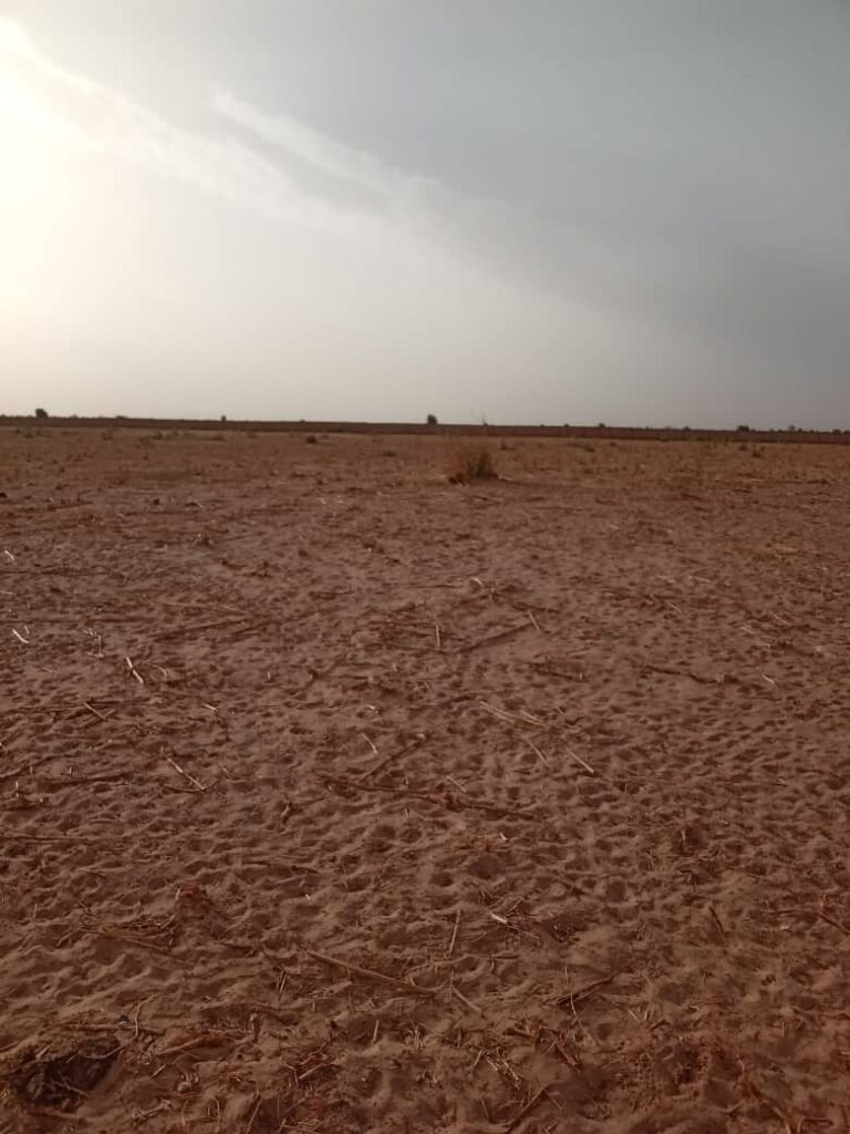 Terrain Agricole de 20 Hectares vers Touba – Diourbel