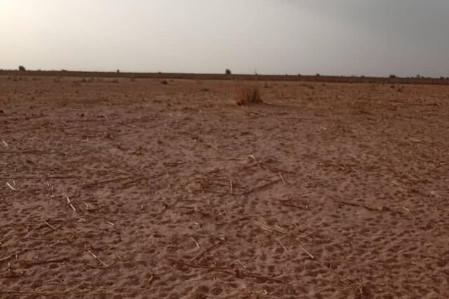 Terrain Agricole de 20 Hectares vers Touba – Diourbel