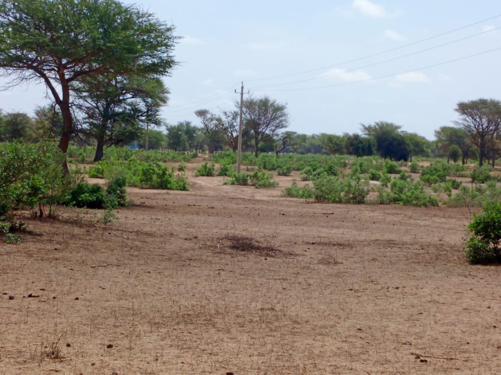 Terrain Agricole de 21,05 Hectares vers Thiénaba – Thiès