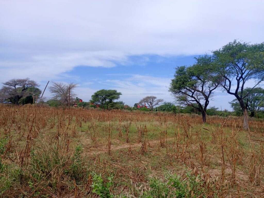 Terrain Agricole de 1,36 Hectare vers Tassette – Thiès