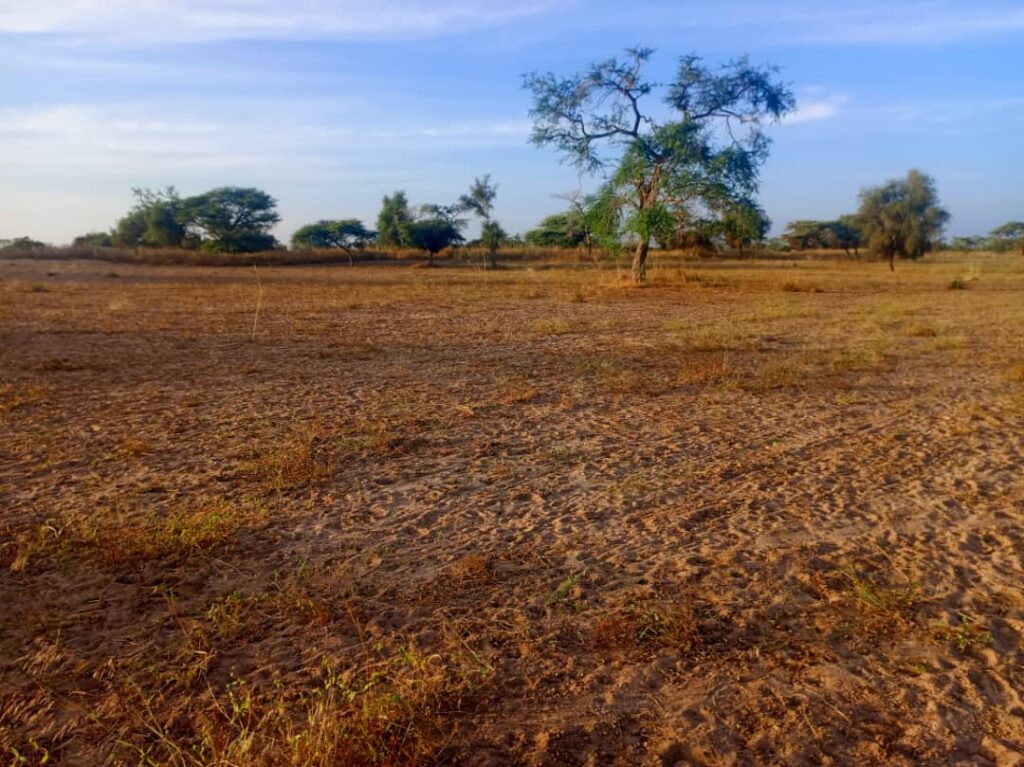 Terrain Agricole de 4,01 Hectares vers Thiolom Fall – Kébémer