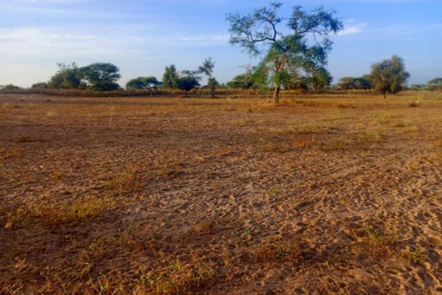 Terrain Agricole de 4,01 Hectares vers Thiolom Fall – Kébémer