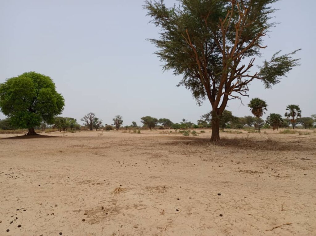 Terrain Agricole de 1,58 Hectare vers Tassette – Thiès