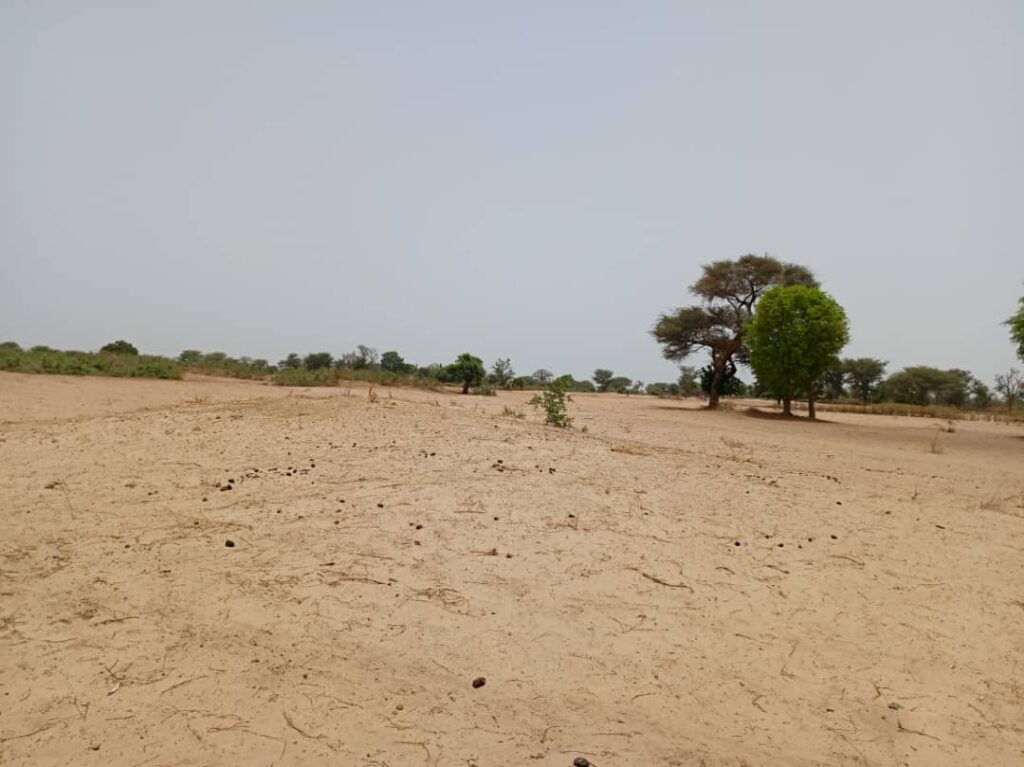 Terrain Agricole de 1,58 Hectare vers Tassette – Thiès