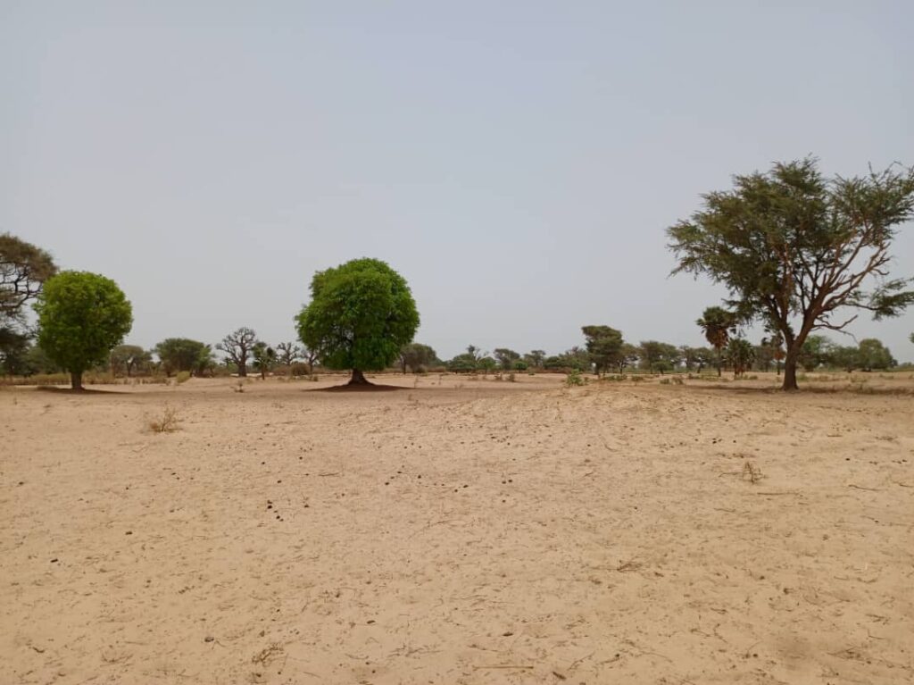 Terrain Agricole de 1,58 Hectare vers Tassette – Thiès