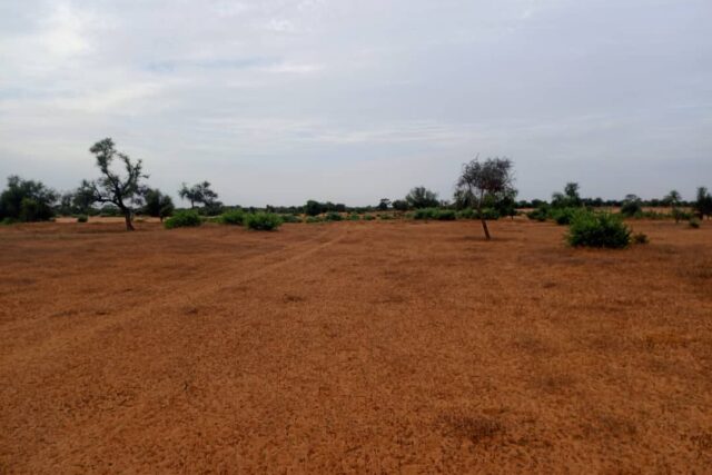 Terrain Agricole de 5,87 Hectares vers Sagatta – Kébémer