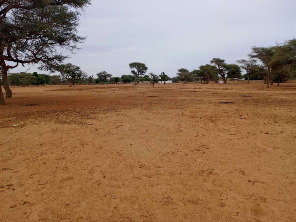 Terrain Agricole de 1,54 Hectare vers Touba Toul – Thiès