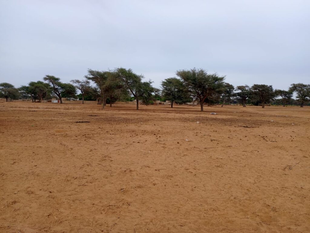 Terrain Agricole de 1,54 Hectare vers Touba Toul – Thiès