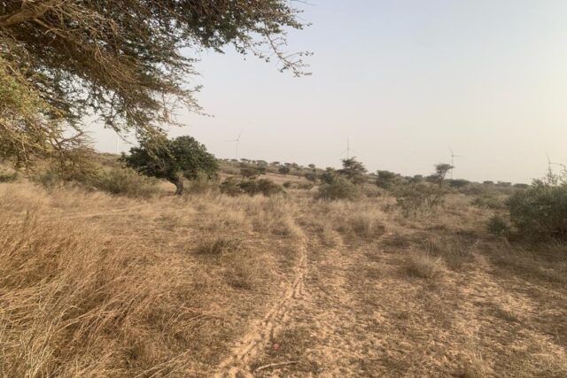 Verger de 6,47 Hectares vers Taïba Ndiaye – Tivaouane