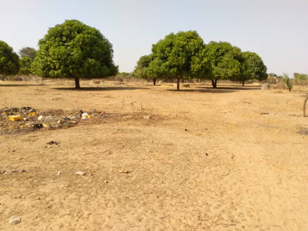 Verger de 7055 m² vers Tataguine – Fatick