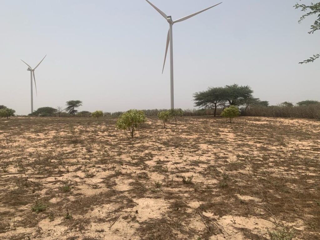 Verger de 7 129 m² vers Taiba Ndiaye – Tivaouane