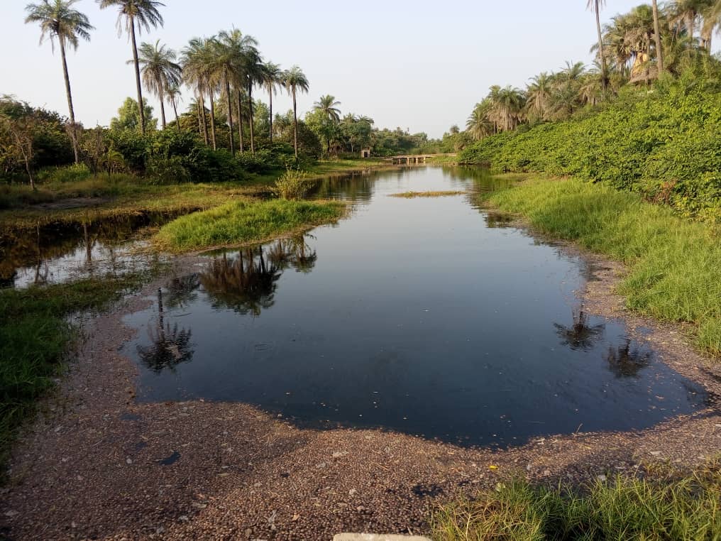 Verger de 1,50 Hectare vers Kafountine – Bignona