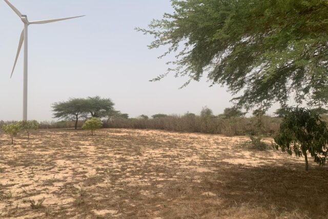 Verger de 7 129 m² vers Taiba Ndiaye – Tivaouane