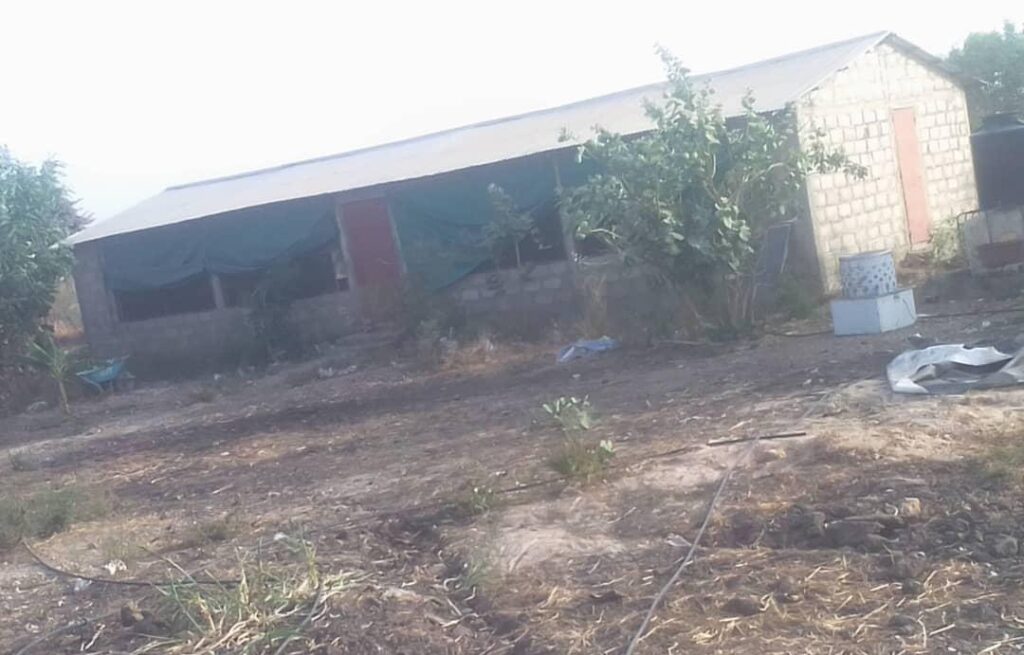 Verger de 1 hectare vers Nguéniène – Mbour