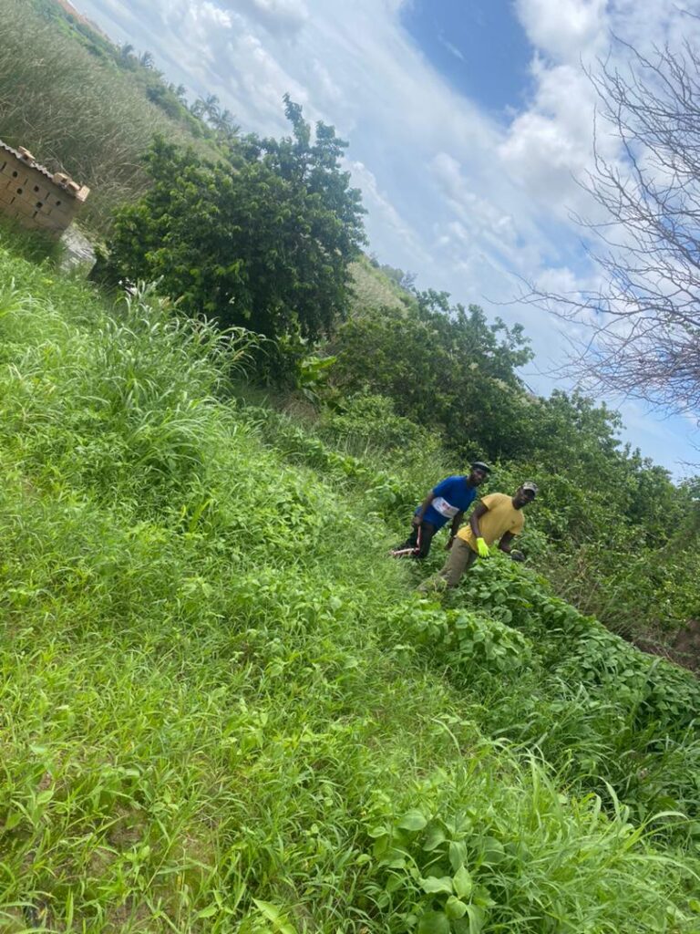 Ferme de 2,20 Hectares vers Bambilor – Rufisque