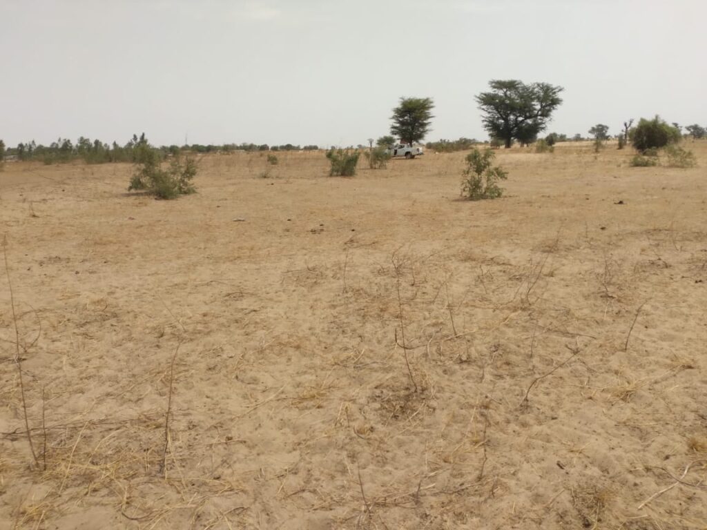 Verger de 8 027 m² vers Patar– Fatick