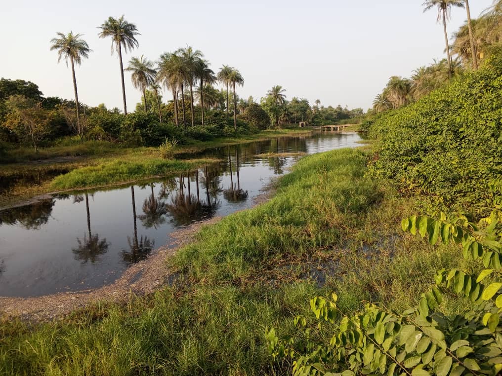 Verger de 1,50 Hectare vers Kafountine – Bignona