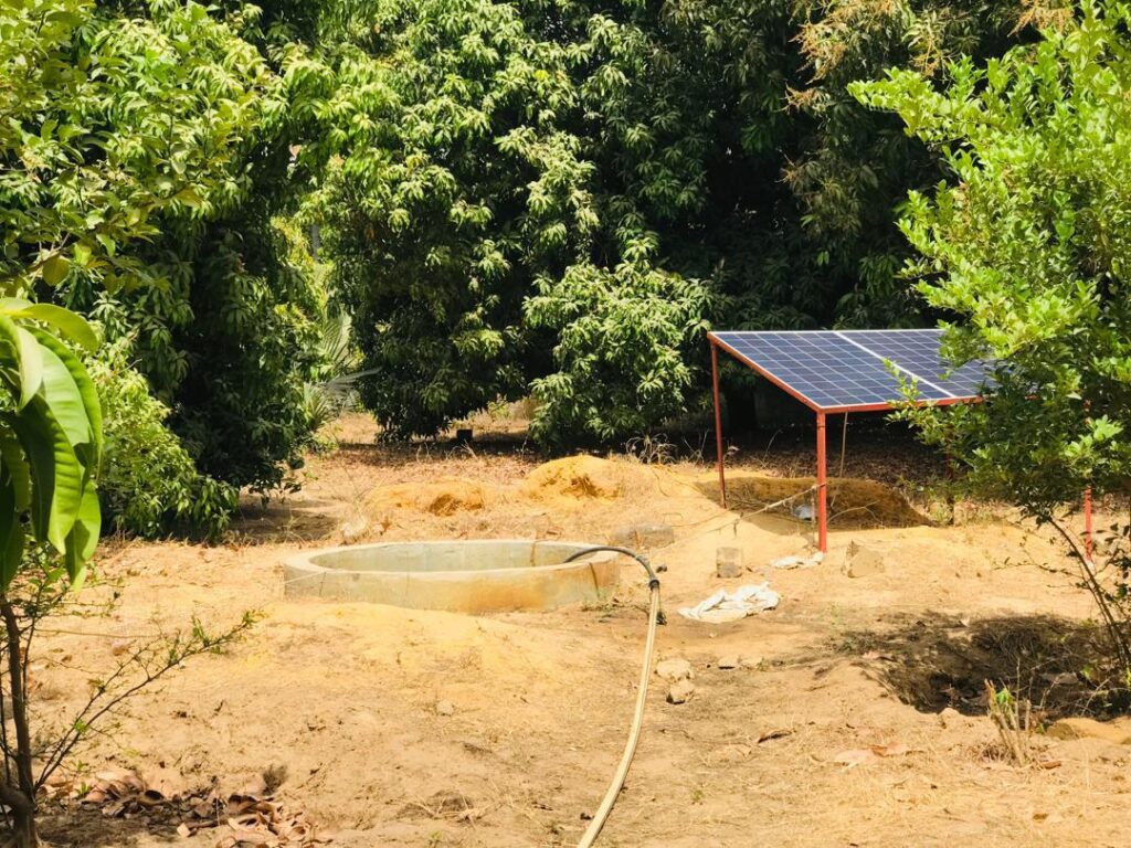 Ferme de 1,15 Hectare vers Fimela – Fatick