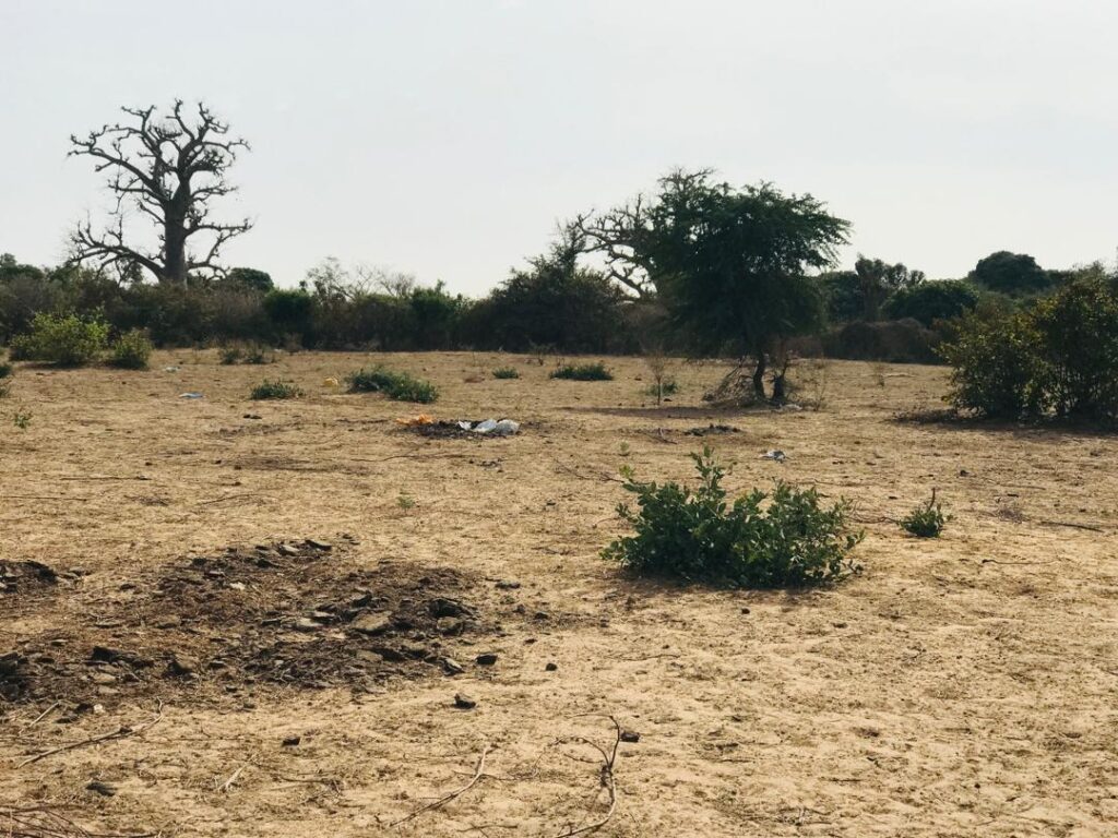 Terrain agricole de 3,02 hectares vers Sindia – Mbour