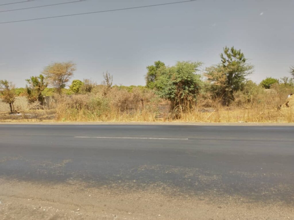 Verger de 8 814 m² vers Sandiara – Mbour