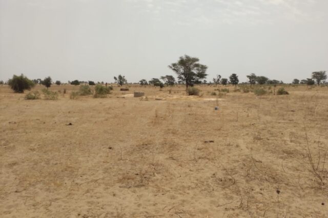 Verger de 8 027 m² vers Patar– Fatick