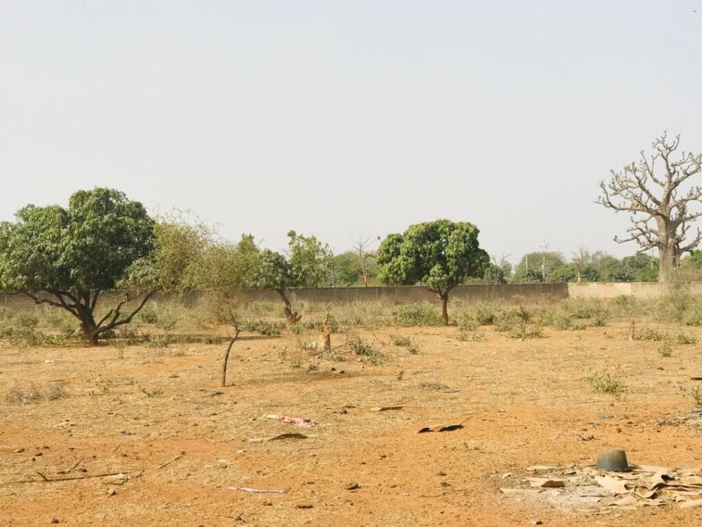 Verger de 1,79 hectare vers Pout – Thiès