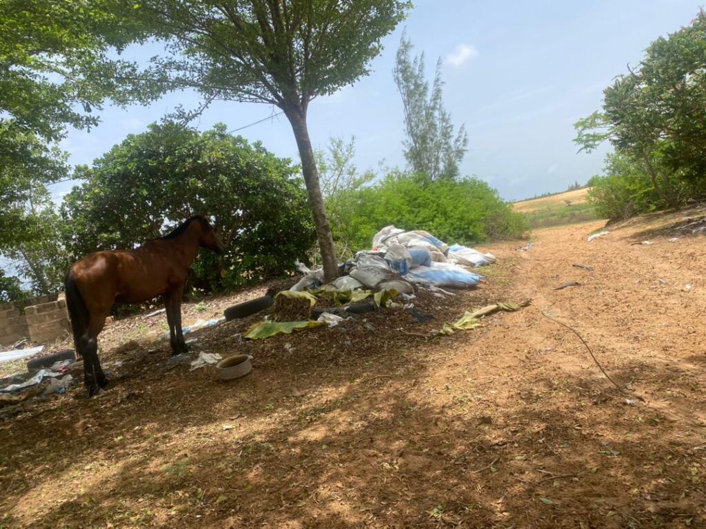 Ferme de 2,20 Hectares vers Bambilor – Rufisque