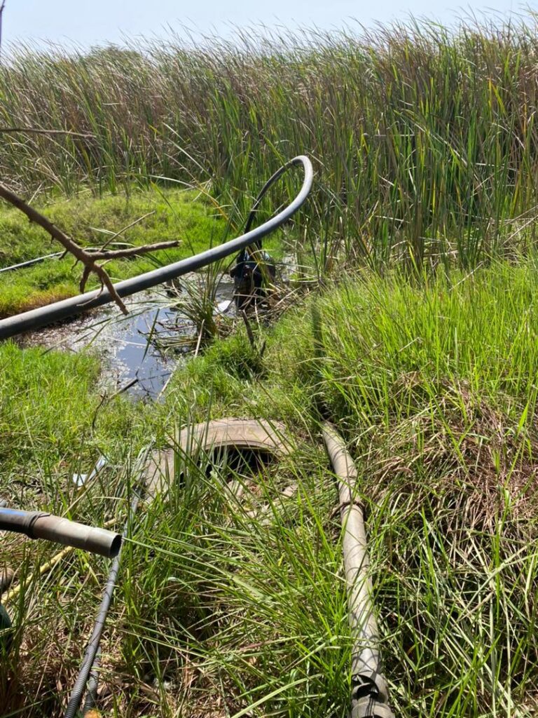 Ferme de 2,20 Hectares vers Bambilor – Rufisque