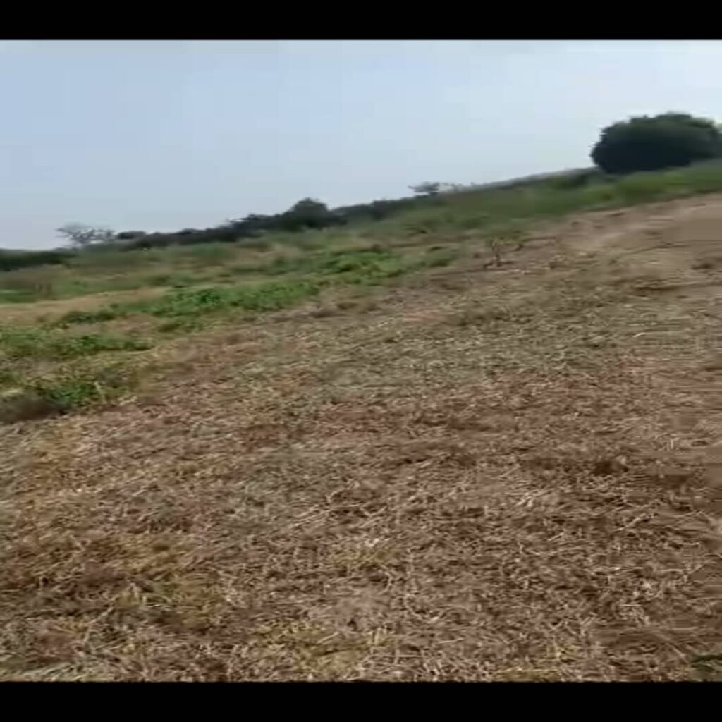 Verger de 3,20 Hectares vers Keur Moussa – Thiès