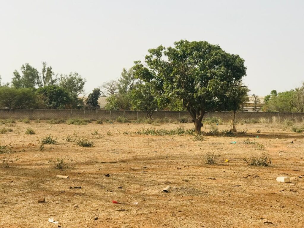 Verger de 1,79 hectare vers Pout – Thiès