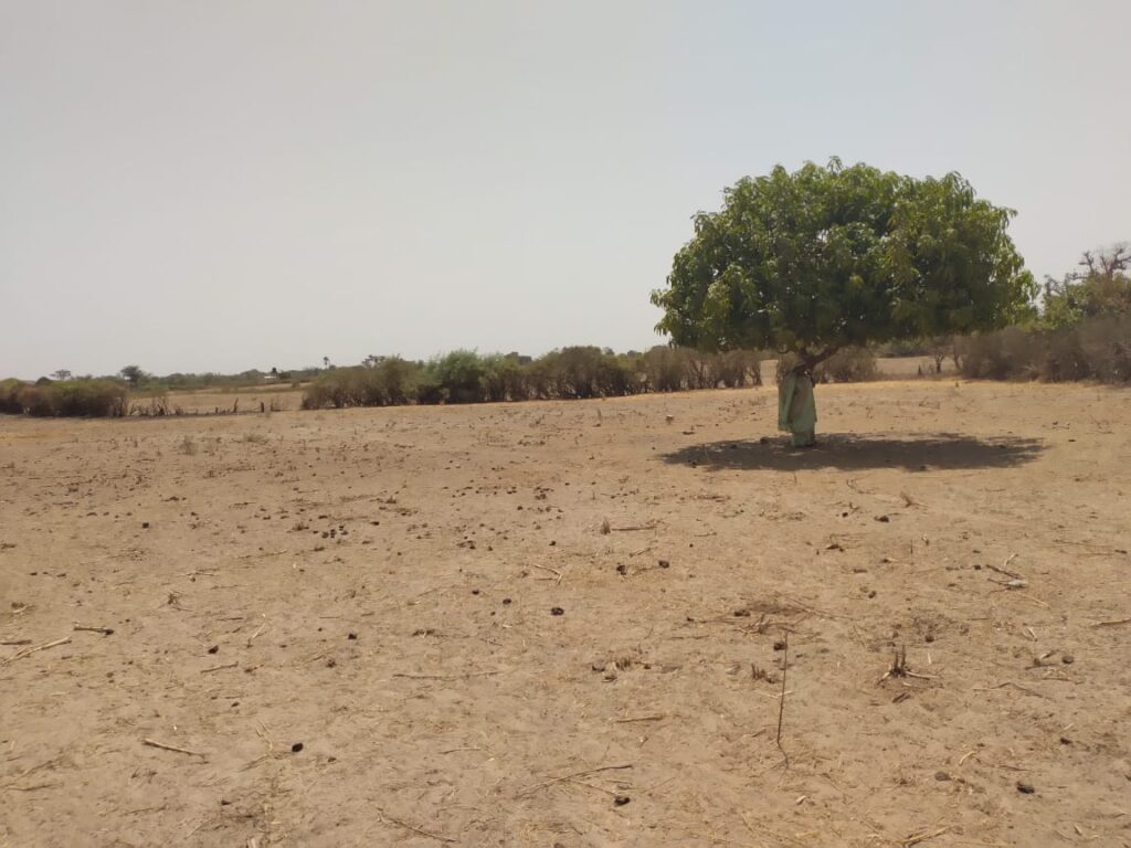 Verger de 9882 m² vers Sandiara – Mbour