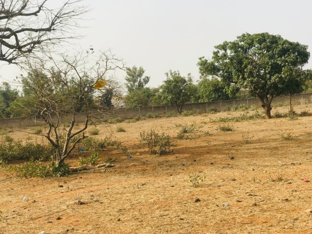 Verger de 1,79 hectare vers Pout – Thiès