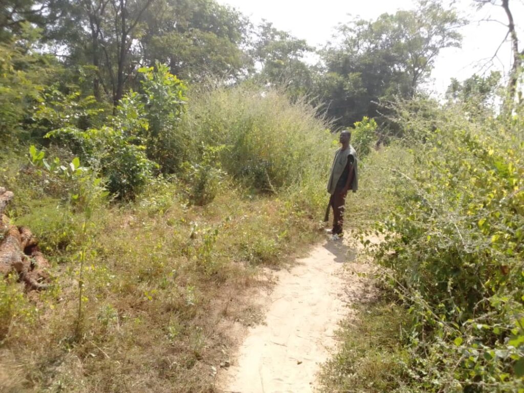 Terrain Agricole de 5 Hectares vers Bignona-Ziguinchor