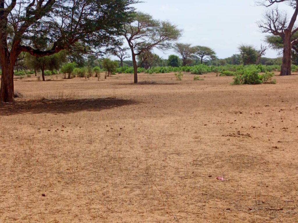 Terrain Agricole de 8,77 Hectares vers Thiénaba – Thiès