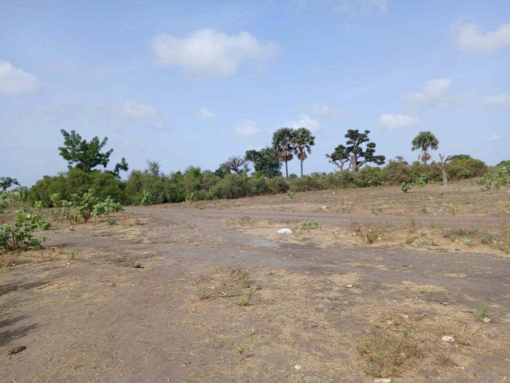 Terrain Agricole de 3 Hectares vers Joal – Mbour