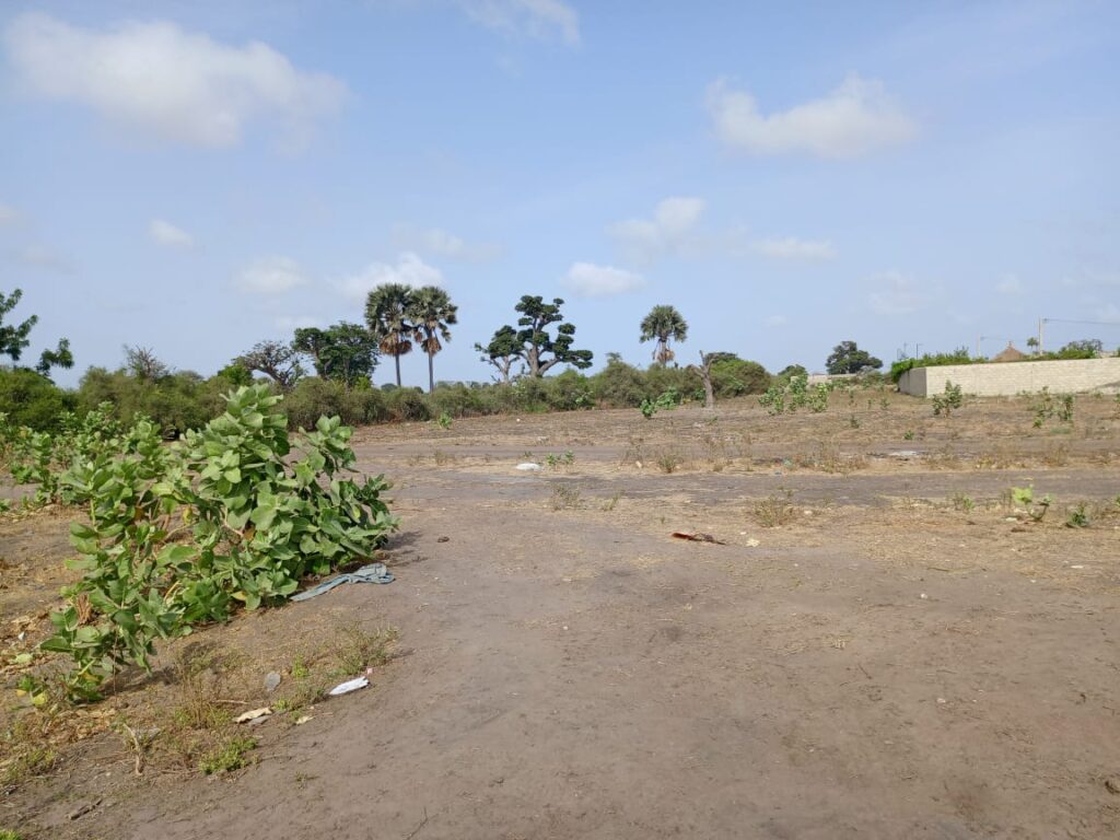 Terrain Agricole de 3 Hectares vers Joal – Mbour