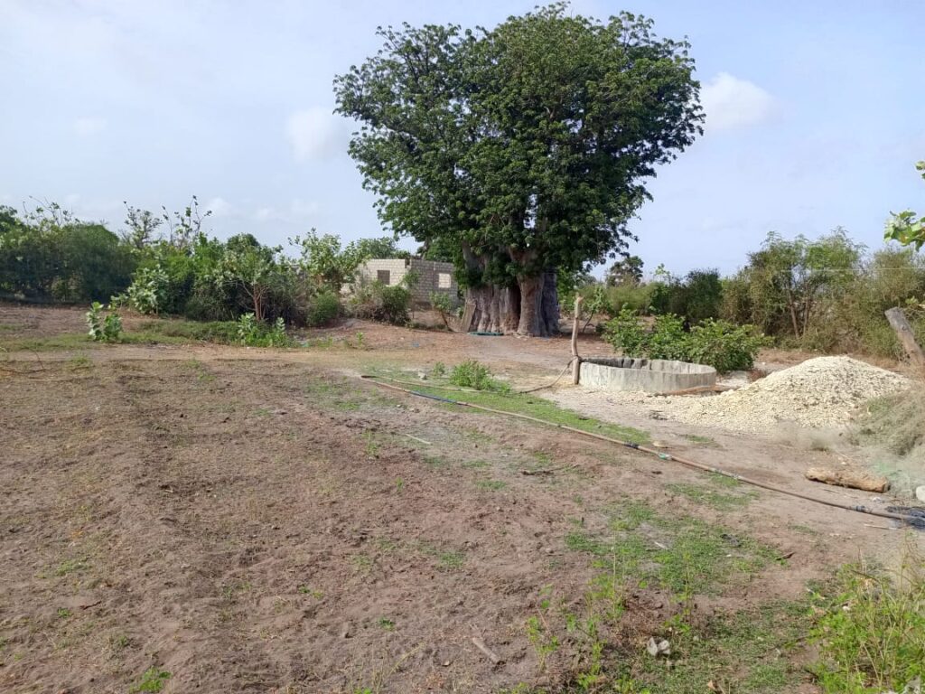 Terrain Agricole de 3 Hectares vers Joal – Mbour