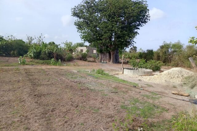 Terrain Agricole de 3 Hectares vers Joal – Mbour