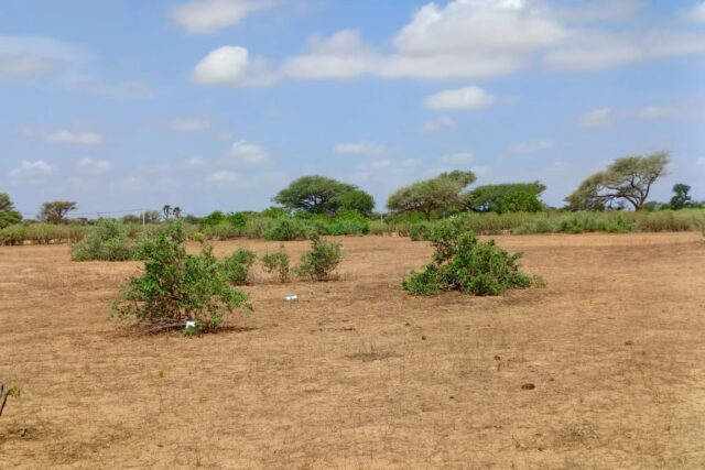 Terrain Agricole de 8,77 Hectares vers Thiénaba – Thiès